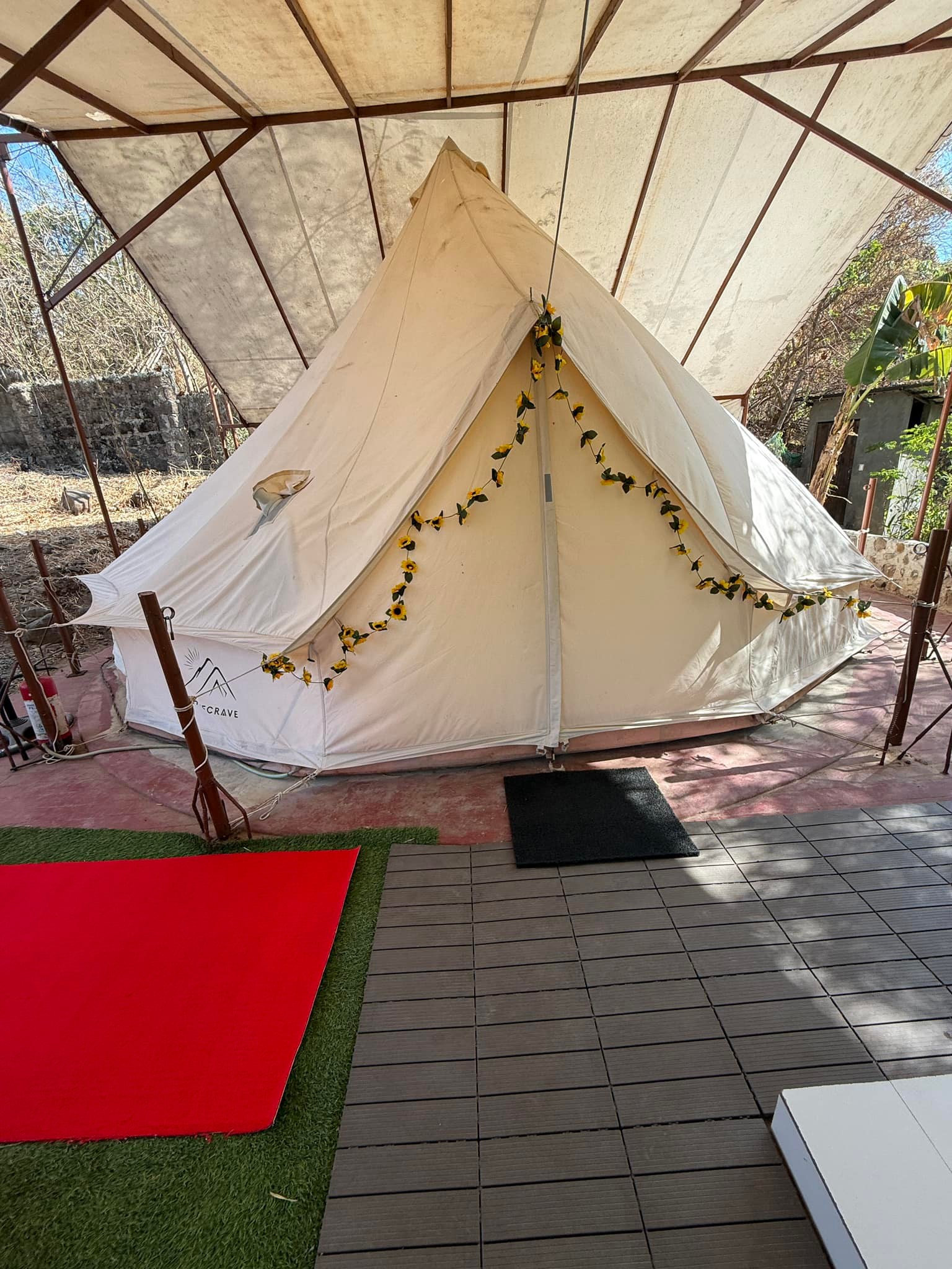 Stargazer Dome bed and ceiling